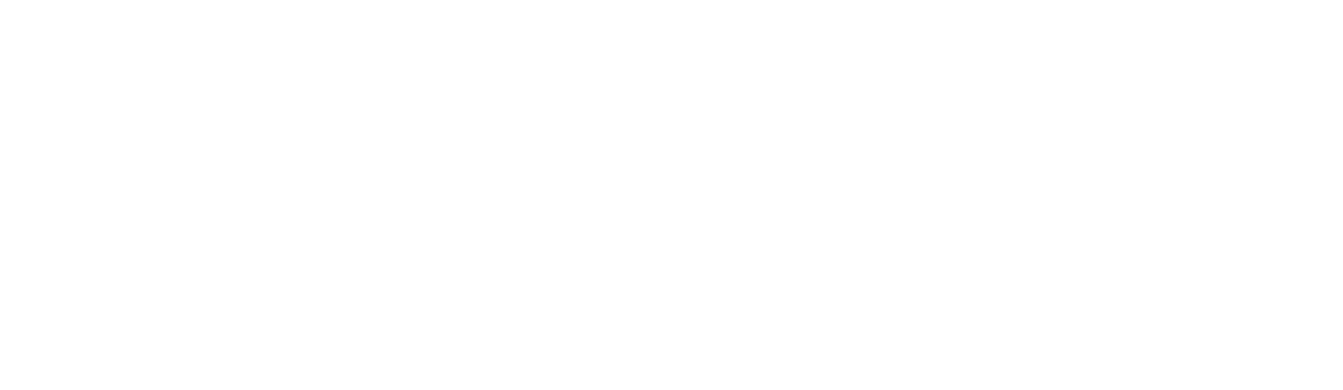 The Liv Project