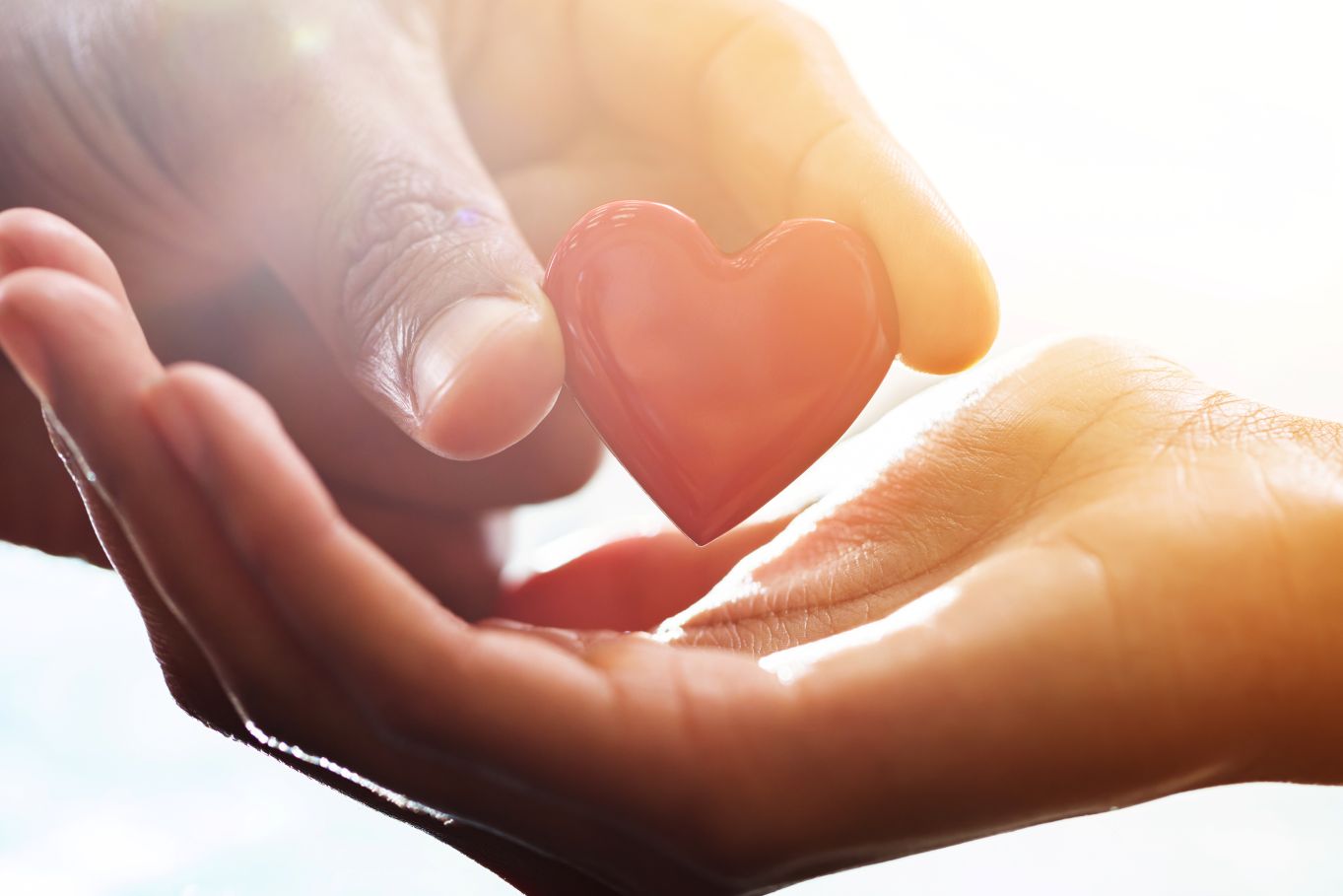 Donate with Confidence